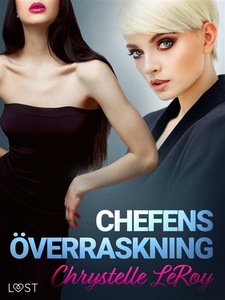 Chefens överraskning - erotisk novell (e-bok) a