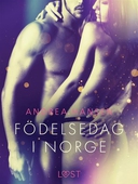 Födelsedag i Norge - erotisk novell