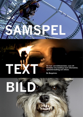 Samspel text bild (e-bok) av Bo Bergström