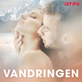 Vandringen (ljudbok) av Cupido