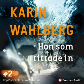 Hon som tittade in (ljudbok) av Karin Wahlberg