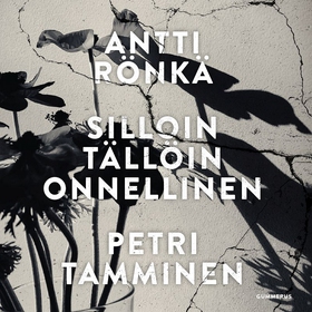 Silloin tällöin onnellinen (ljudbok) av Petri T