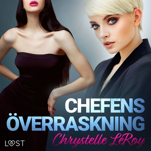 Chefens överraskning - erotisk novell (ljudbok)