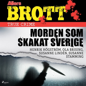 Morden som skakat Sverige (ljudbok) av Ola Bris