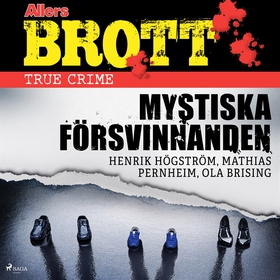 Mystiska försvinnanden (ljudbok) av Ola Brising