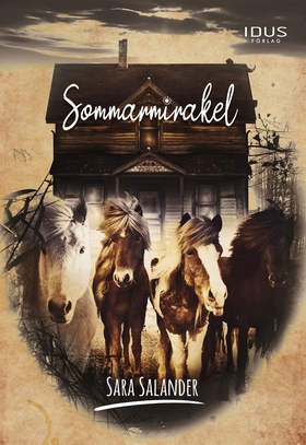 Sommarmirakel (e-bok) av Sara Salander