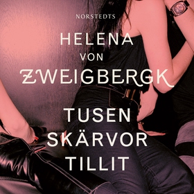 Tusen skärvor tillit (ljudbok) av Helena von Zw