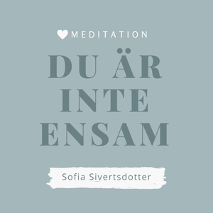 Du är inte ensam - meditation (ljudbok) av Sofi