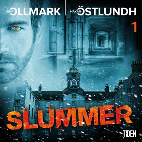 Slummer - Del 1 (ljudbok) av Håkan Östlundh, Le