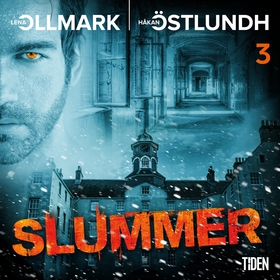 Slummer - Del 3 (ljudbok) av Håkan Östlundh, Le