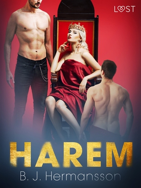 Harem - erotisk novell (e-bok) av B. J. Hermans