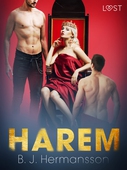 Harem - erotisk novell
