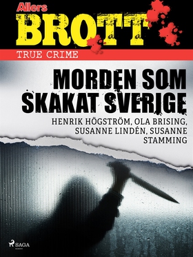 Morden som skakat Sverige (e-bok) av Ola Brisin