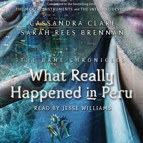 What Really Happened in Peru (ljudbok) av Cassa