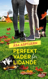 Perfekt väder för lidande (e-bok) av Åsa Asptjä