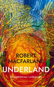 Underland : En upptäcktsresa i underjorden (e-b