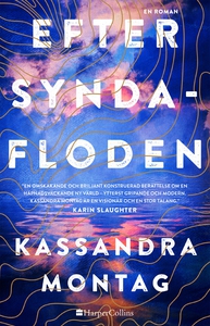 Efter syndafloden (e-bok) av Kassandra Montag