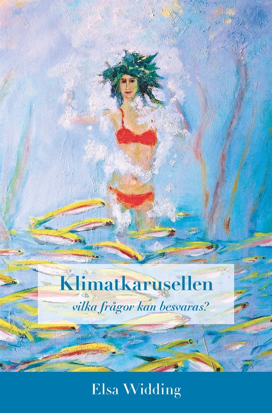 Klimatkarusellen - vilka frågor kan besvaras? (e-bok) av Elsa Widding