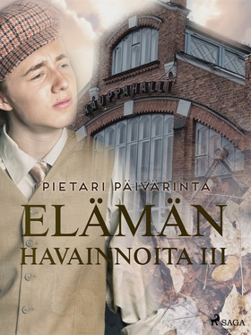 Elämän havainnoita III (e-bok) av Pietari Päivä