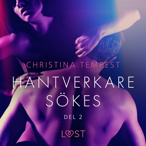 Hantverkare sökes Del 2 - erotisk novell