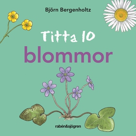 Titta 10 blommor (e-bok) av Björn Bergenholtz