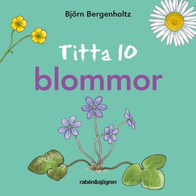 Titta 10 blommor (e-bok) av Björn Bergenholtz