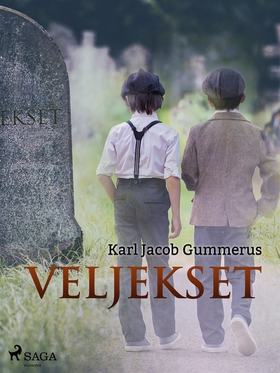 Veljekset (e-bok) av Karl Jacob Gummerus