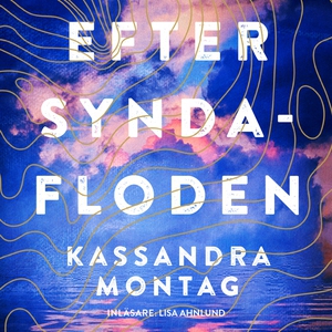 Efter syndafloden (ljudbok) av Kassandra Montag