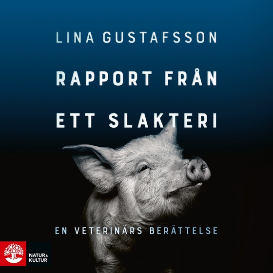 Rapport från ett slakteri