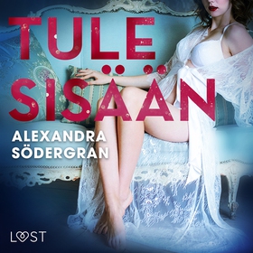 Tule sisään - eroottinen novelli (ljudbok) av A