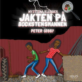 Jakten på Bockstensmannen (ljudbok) av Peter Gi