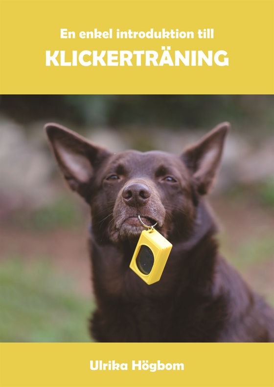 En enkel introduktion till klickerträning