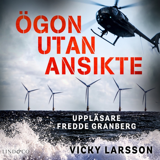 Ögon utan ansikte (ljudbok) av Vicky Larsson