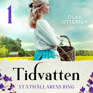 Ståthållarens ring: En släkthistoria (ljudbok)