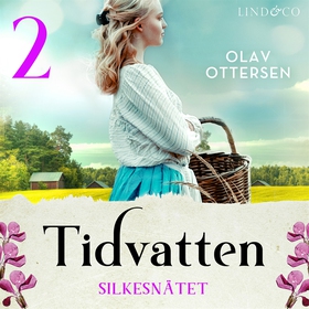 Silkesnätet: En släkthistoria (ljudbok) av Olav