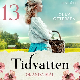 Okända mål: en släkthistoria (ljudbok) av Olav 