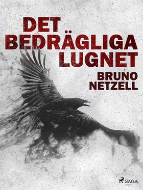 Det bedrägliga lugnet (e-bok) av Bruno Netzell
