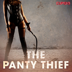 The Panty Thief (ljudbok) av Cupido