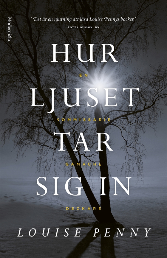 Hur ljuset tar sig in (En kommissarie Gamache-deckare)