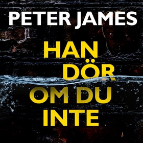 Han dör om du inte (ljudbok) av Peter James