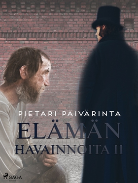 Elämän havainnoita II (e-bok) av Pietari Päivär