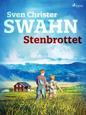 Stenbrottet (e-bok) av Sven Christer Swahn