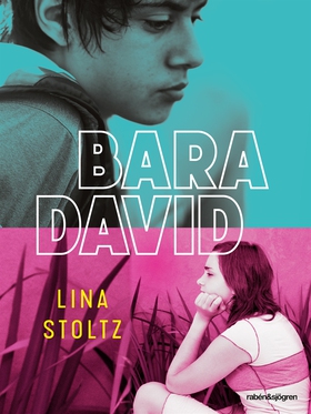 Bara David (e-bok) av Lina Stoltz