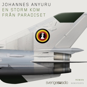 En storm kom från paradiset (ljudbok) av Johann