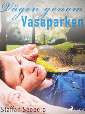 Vägen genom Vasaparken (e-bok) av Staffan Seebe