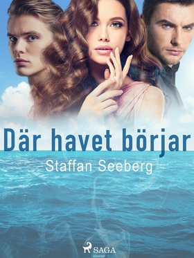 Där havet börjar (e-bok) av Staffan Seeberg