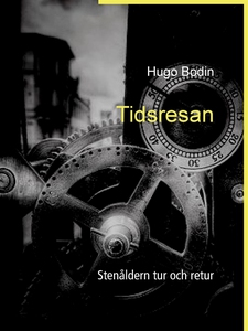 Tidsresan: Stenåldern tur och retur (e-bok) av
