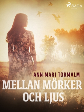 Mellan mörker och ljus (e-bok) av Ann-Mari Torm