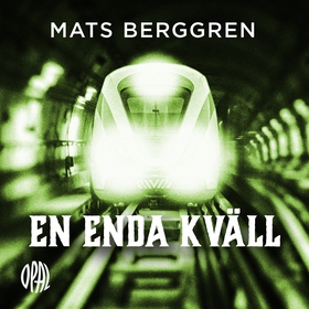 En enda kväll (ljudbok) av Mats Berggren