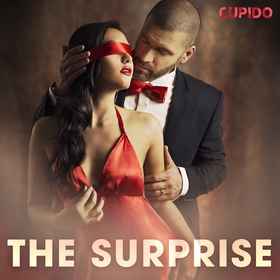 The surprise (ljudbok) av Cupido